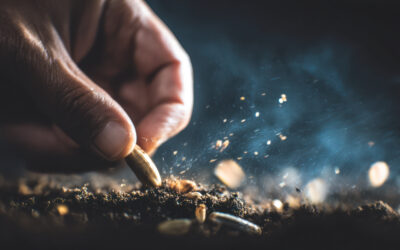 In defence of a declining art: the economic case for brachytherapy